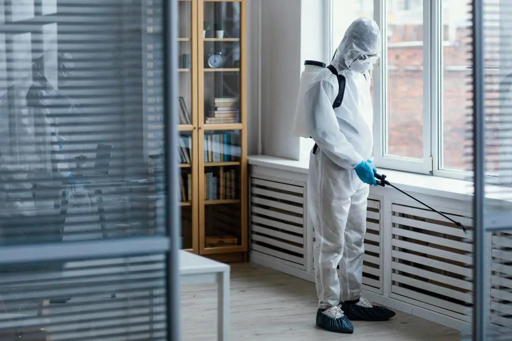 Pest Control Services