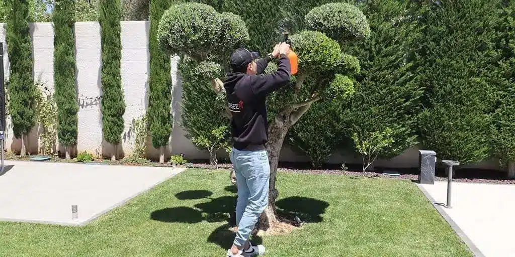 manpower supply cleaning services